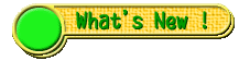 What's New!