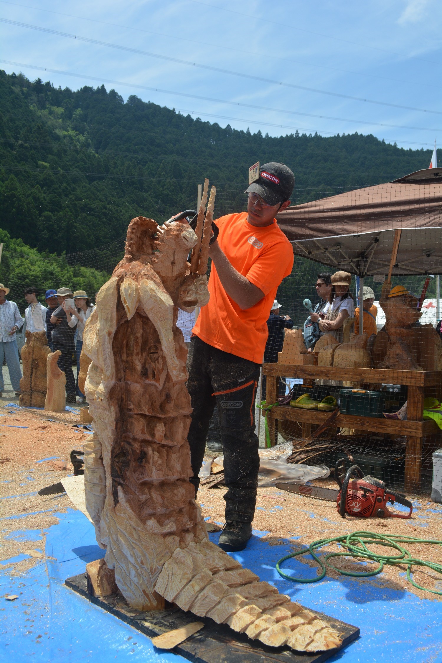 ���앗�i�P